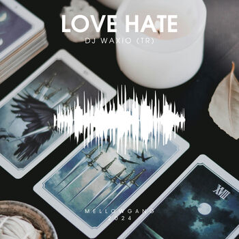 Love Hate