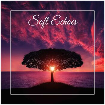 Soft Echoes