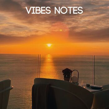 Vibes Notes