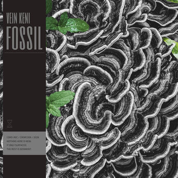 Fossil