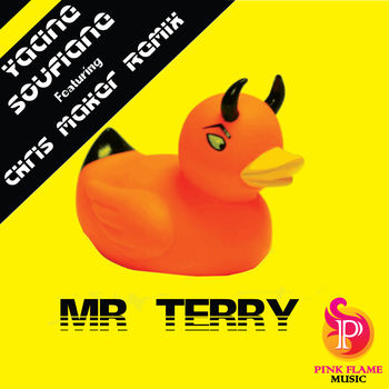 Mr Terry