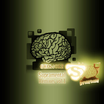 Supramental Remixes: Vol.1