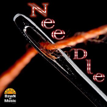 Needle