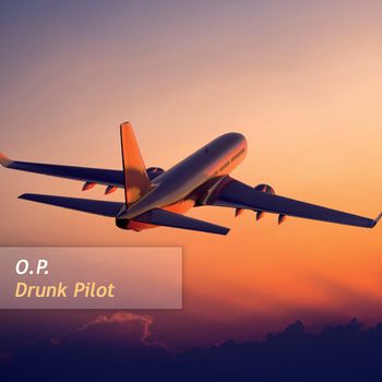 Drunk Pilot