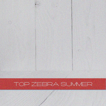 TOP Zebra Summer