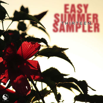 Easy Summer Sampler 13