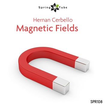 Magnetic Fields