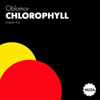 Chlorophyll