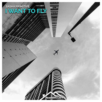 I Want To Fly