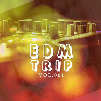 EDM Trip, Vol. 001