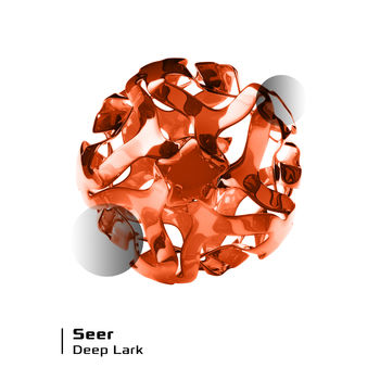 Seer