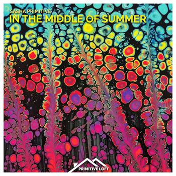 In The Middle Of Summer (Extended Mix)