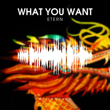 What You Want